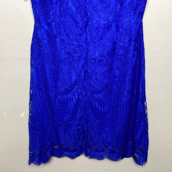MSLG Sheath Blue Dress Lace Overlay Short Sleeves Croquette Scalloped Hem NWT Lg - Picture 7 of 11